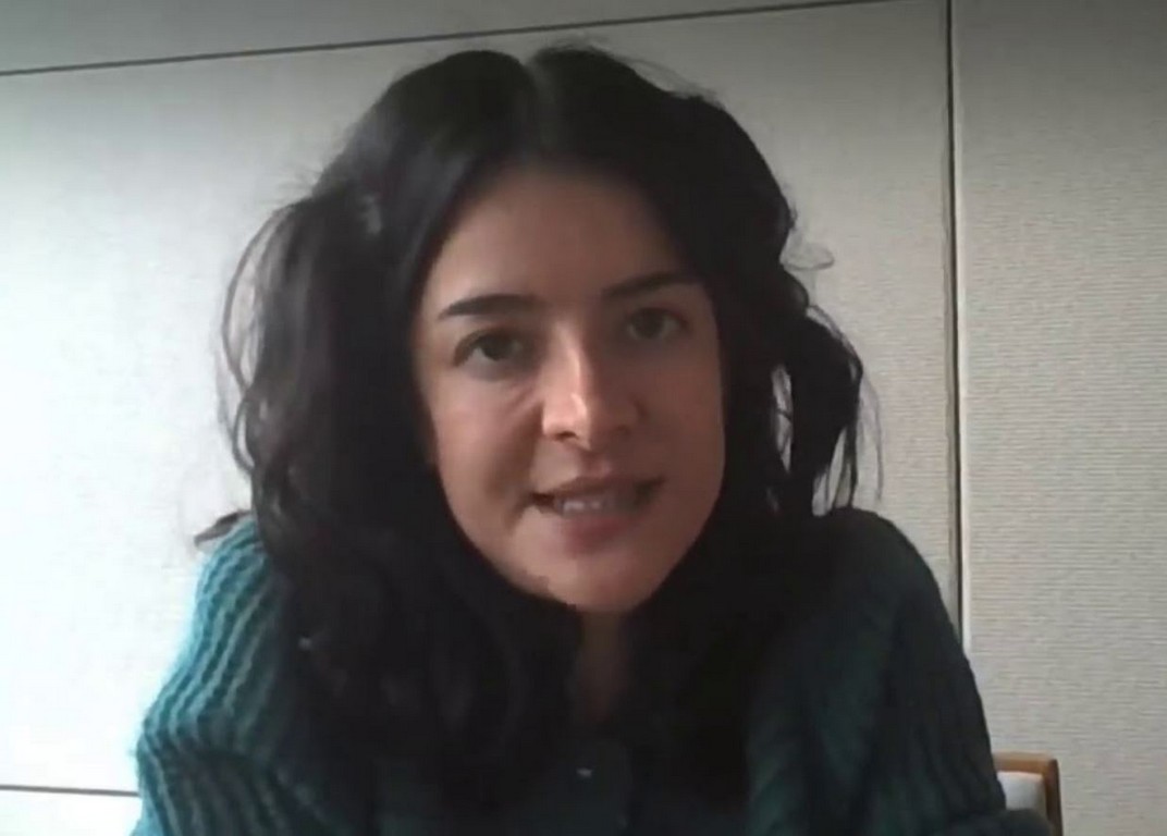 Online Meeting with Aysu Uygur, Strategy Officer for Malaria and